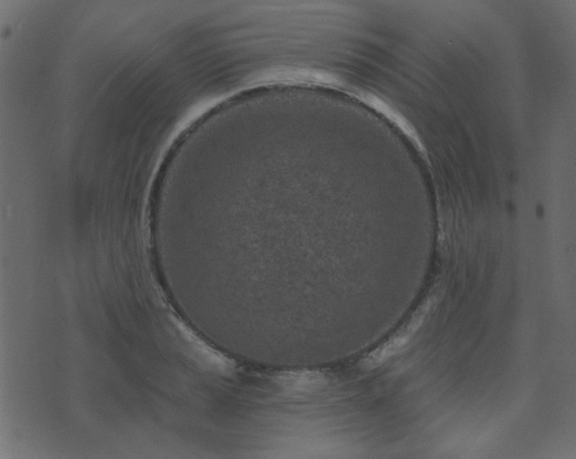 X0000071771037200606301150