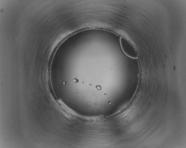 X0000071771040200606301150