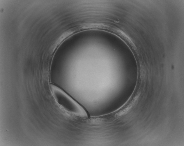 X0000071771041200606301150