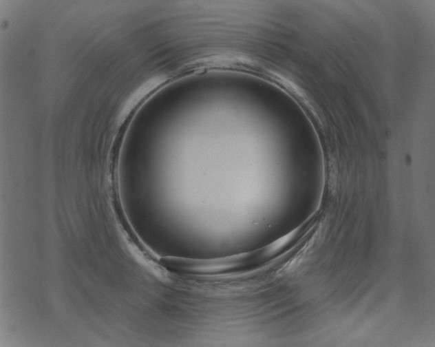 X0000071771042200606301150