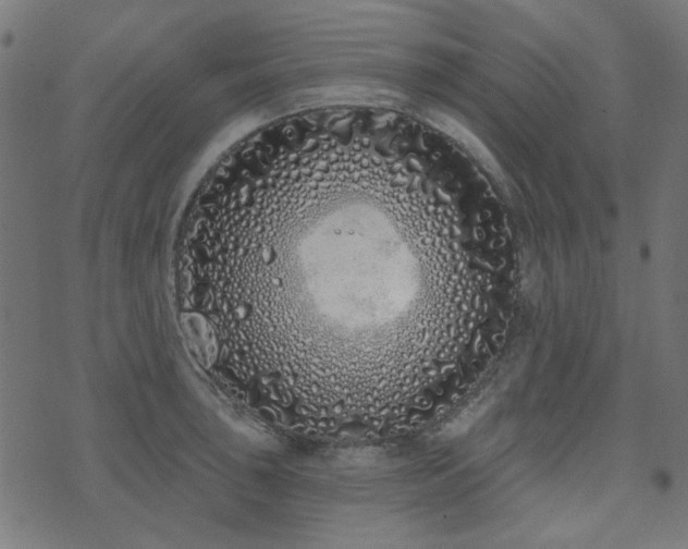 X0000071771043200606301150