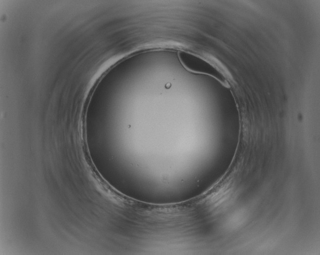 X0000071771044200606301150