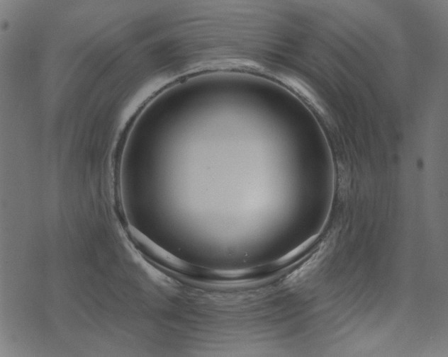 X0000071771046200606301150