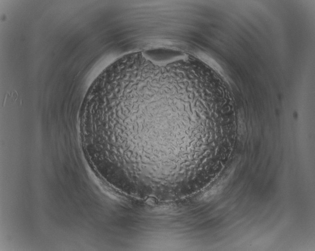 X0000071771047200606301150