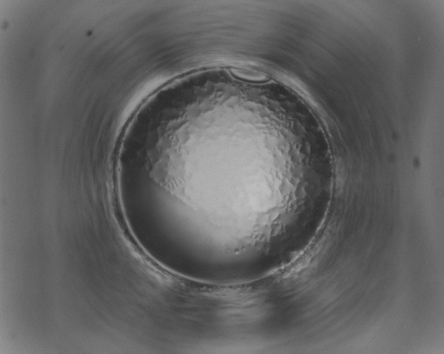 X0000071771048200606301150