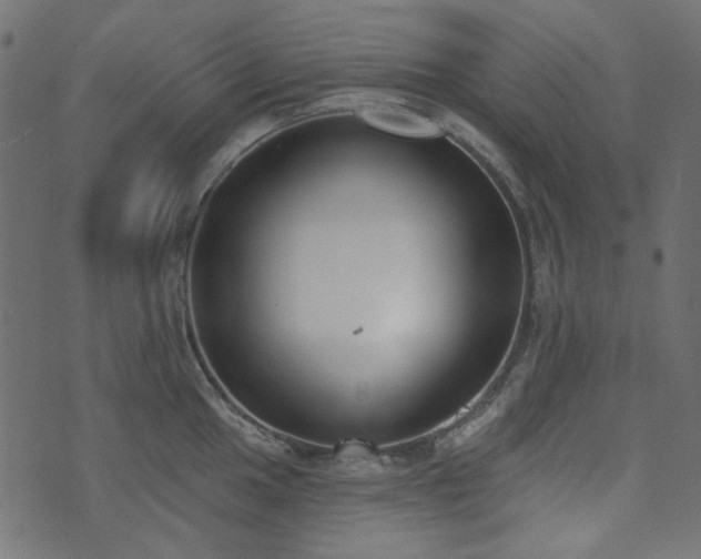 X0000071771049200606301150