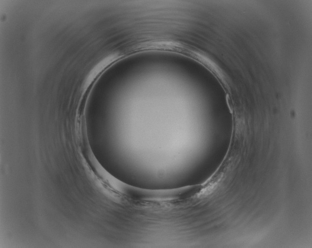 X0000071771050200606301150