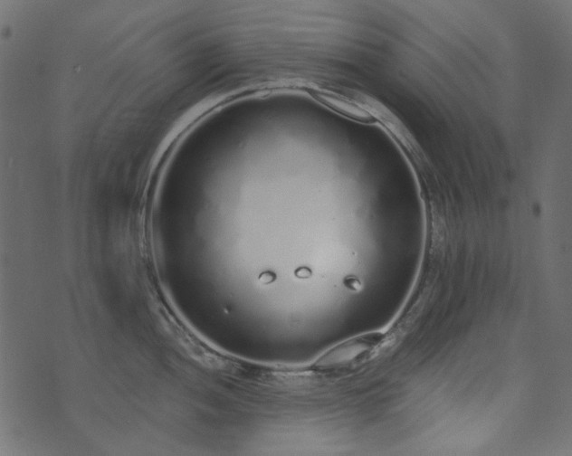 X0000071771052200606301150