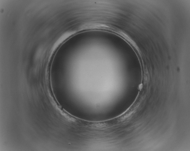 X0000071771053200606301150