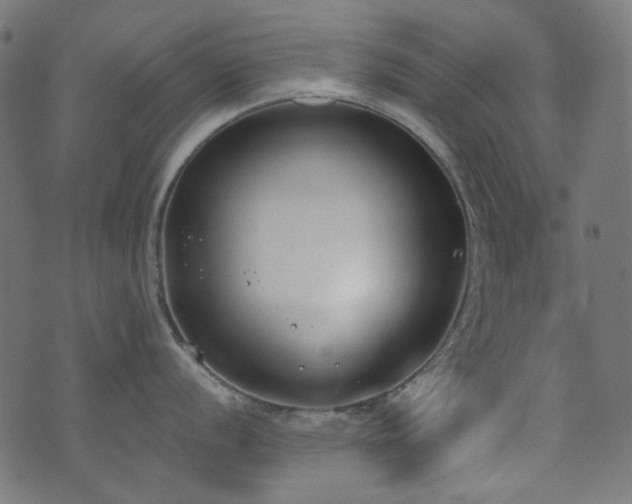 X0000071771056200606301150