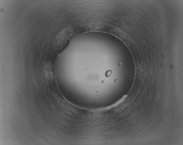 X0000071771058200606301150