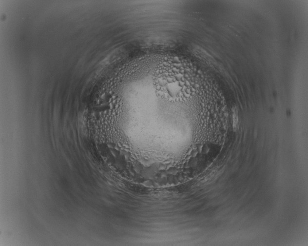 X0000071771059200606301150