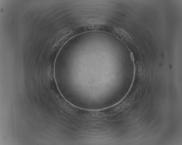 X0000071771060200606301150