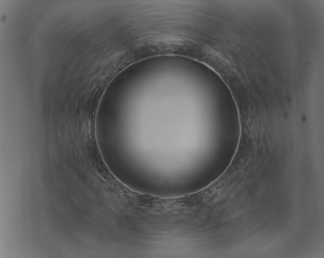 X0000071771061200606301150