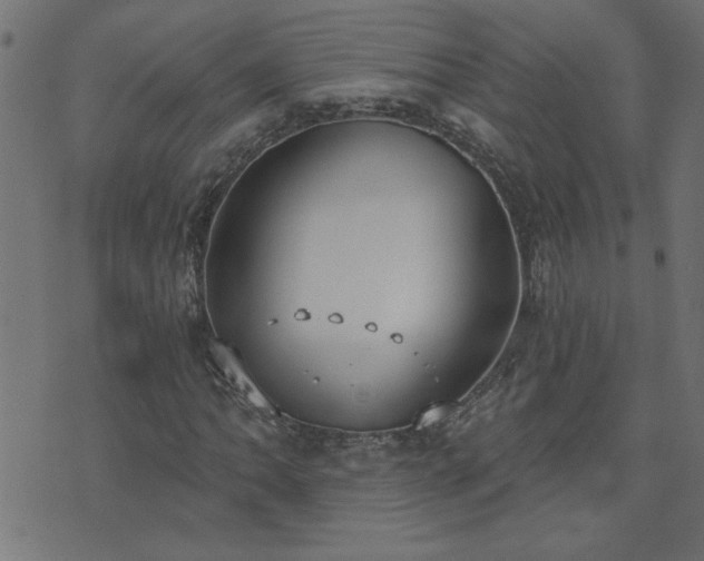 X0000071771062200606301150