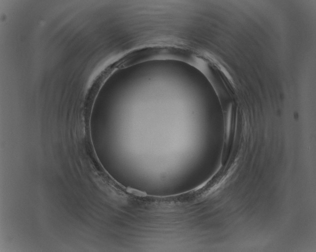 X0000071771069200606301149