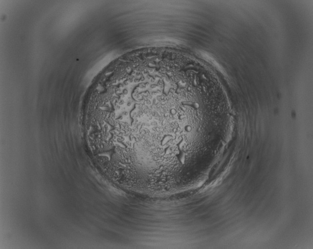 X0000071771071200606301149