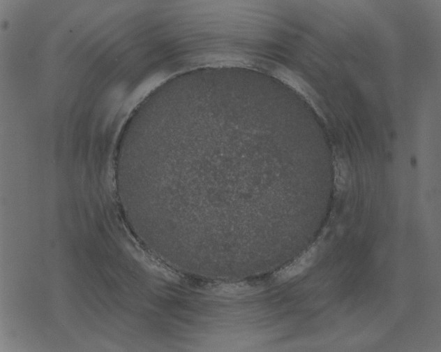 X0000071771074200606301149