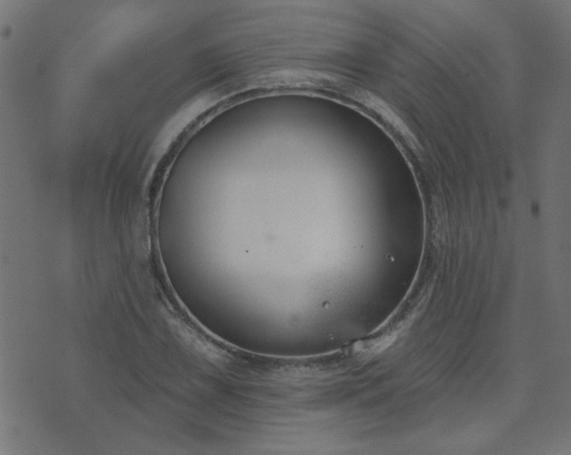 X0000071771075200606301149