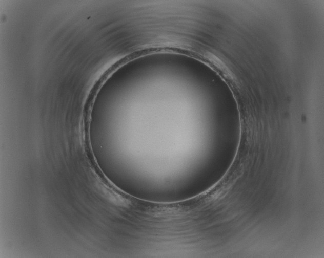 X0000071771076200606301149