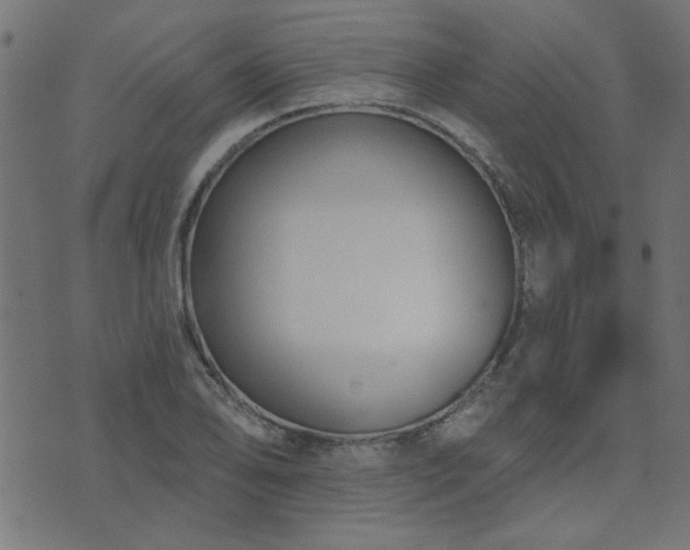 X0000071771078200606301149