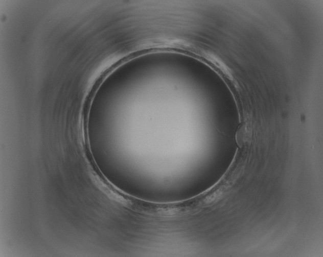 X0000071771080200606301149