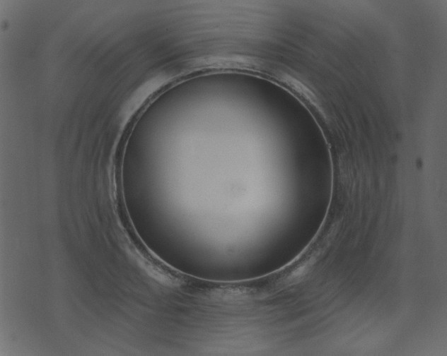 X0000071771082200606301149