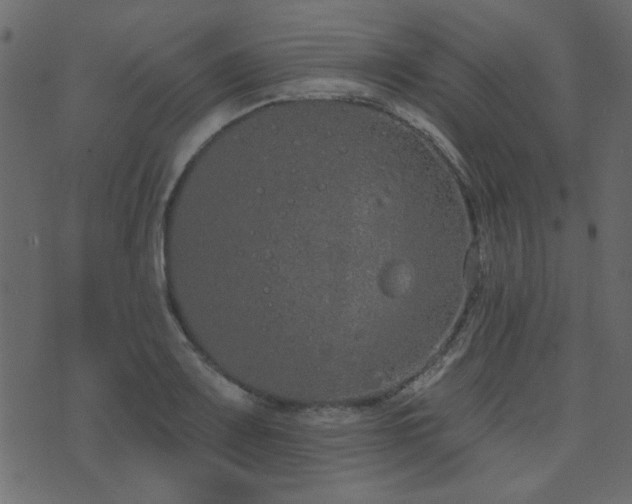 X0000071771083200606301149