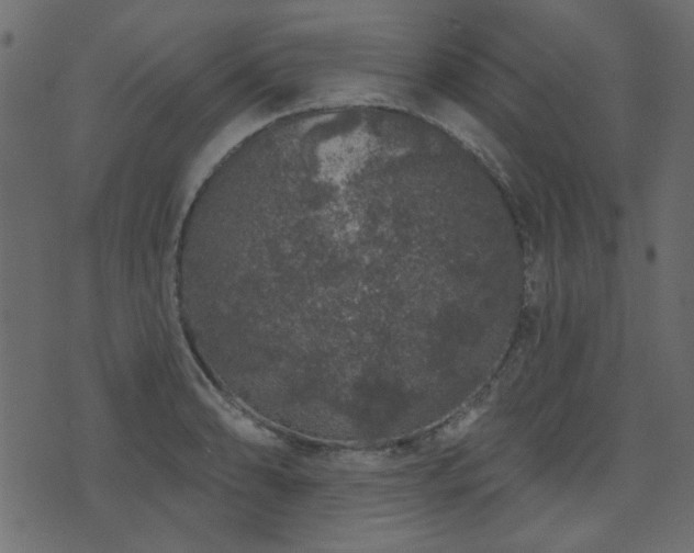 X0000071771086200606301149