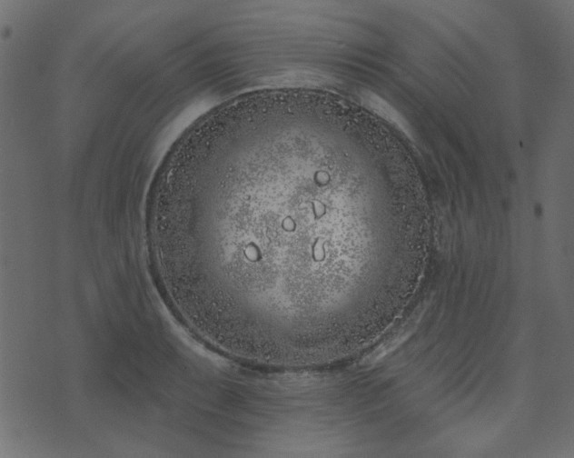 X0000071771087200606301149