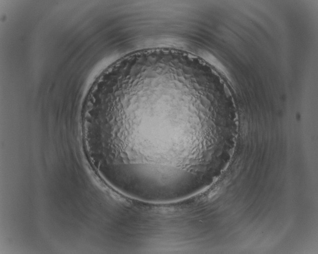 X0000071771088200606301149