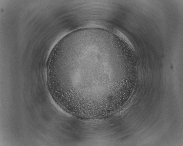 X0000071771092200606301149