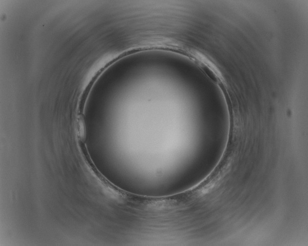 X0000071771093200606301149