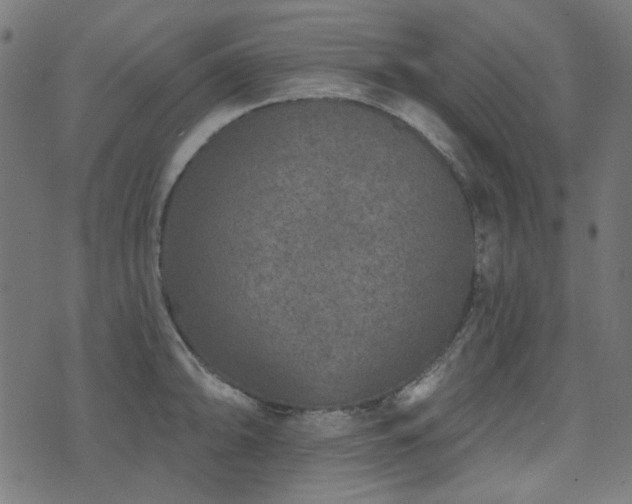 X0000071771094200606301149