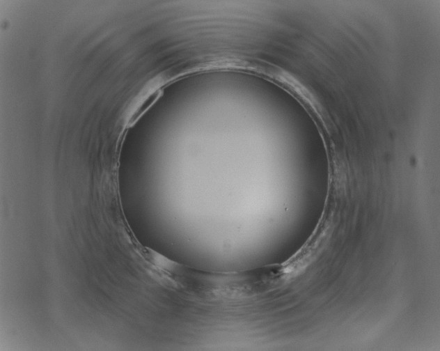 X0000071771097200606301149