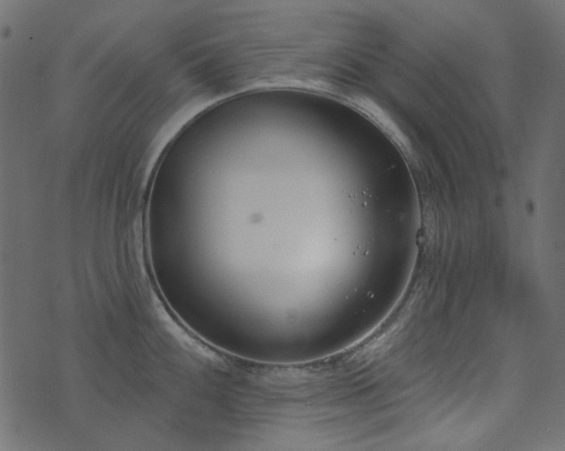 X0000071771100200606301149