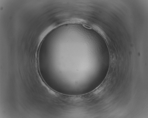 X0000071771103200606301149