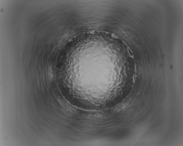 X0000071771106200606301148