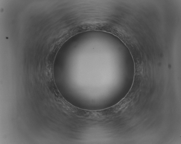X0000071771109200606301148