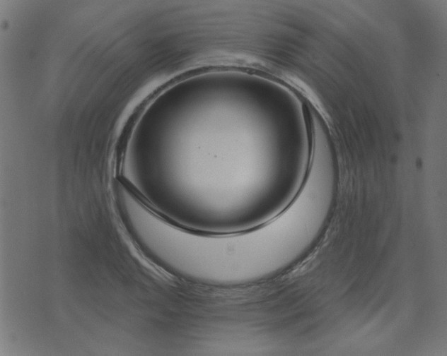 X0000071771128200606301148