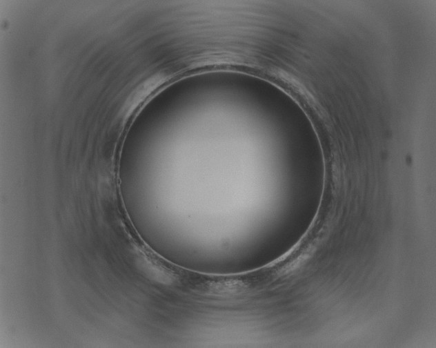 X0000071771129200606301148