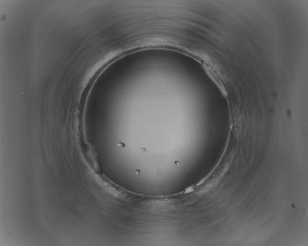 X0000071771134200606301149