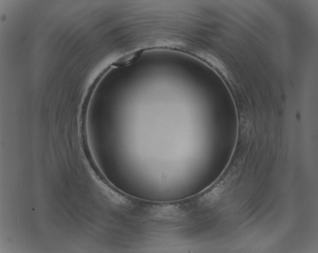 X0000071771135200606301149