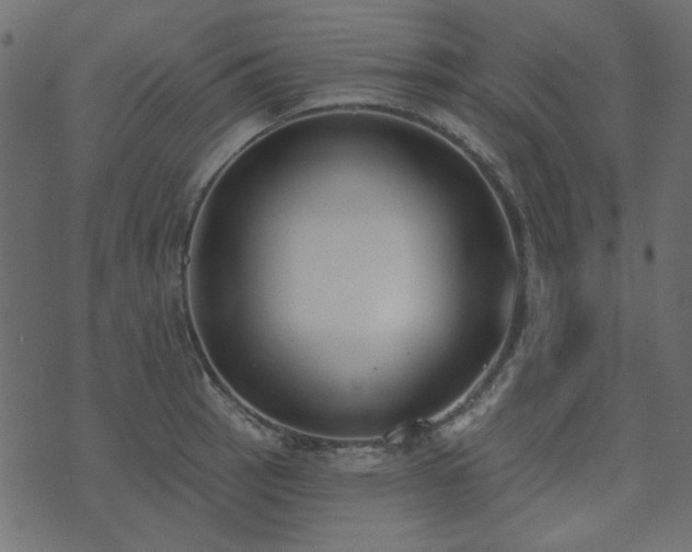 X0000071771137200606301149