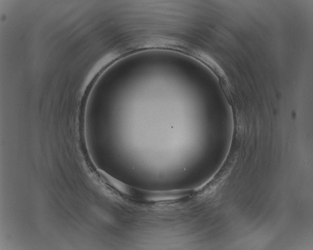 X0000071771138200606301149