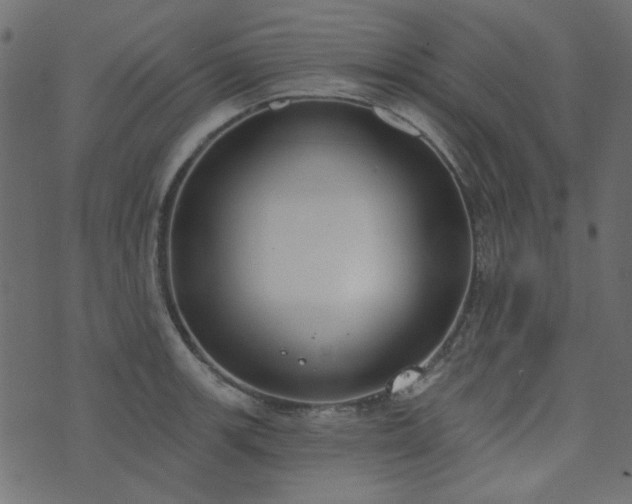 X0000071771139200606301149