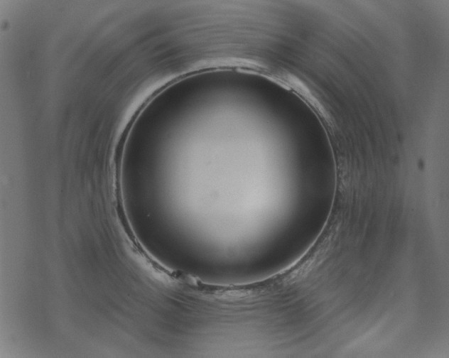 X0000071771140200606301149