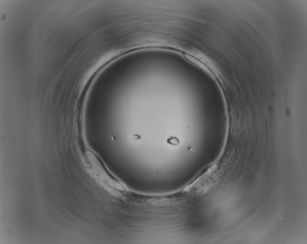 X0000071771142200606301149