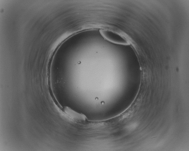 X0000071771143200606301149