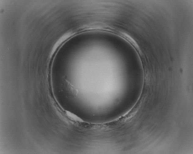 X0000071771146200606301149